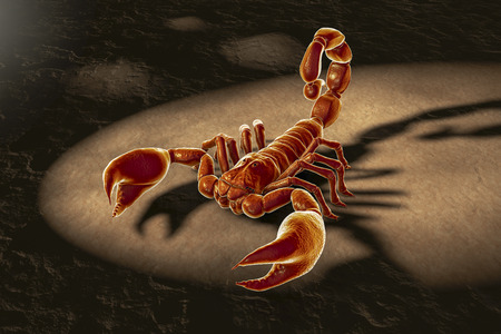 Scorpion on sand background, realistic 3D illustrationの写真素材