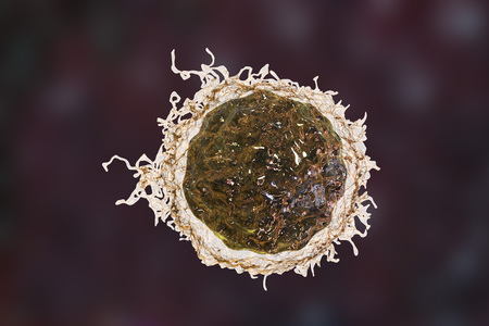 Cancer cell, tumour cell, close-up view, 3D illustration