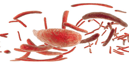 360-degree spherical panorama of bacteria Mycobacterium tuberculosis, and other mycobacteria, 3D illustrationの写真素材