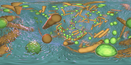 360-degree spherical panorama of bacterial biofilm. Mixture of bacteria of different types and...