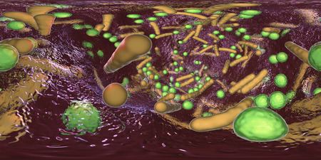 360-degree spherical panorama of bacterial biofilm. Mixture of bacteria of different types and...