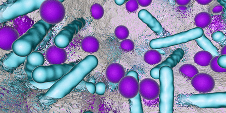 Biofilm of antibiotic resistant bacteria. Rod-shaped and spherical bacteria. Escherichia coli,...