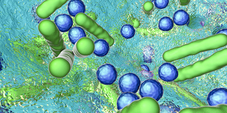 Biofilm of antibiotic resistant bacteria. Rod-shaped and spherical bacteria. Escherichia coli,...