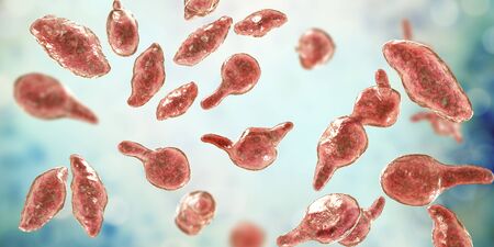 Bacteria Mycoplasma genitalium, 3D illustration. The causative agent of sexually transmitted...