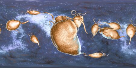 Trichomonas vaginalis protozoan, 360-degree spherical panorama view, 3D illustration. A parasite...