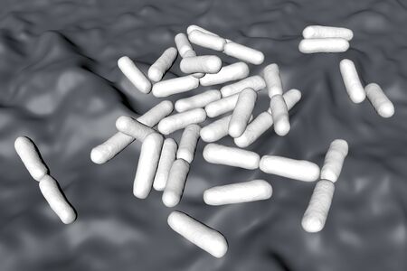 Probiotic bacteria Bacillus clausii, 3D illustration. B. clausii is a rod-shaped Gram-positive...