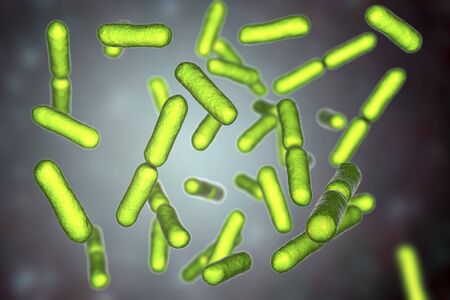 Probiotic bacteria Bacillus clausii, 3D illustration. B. clausii is a rod-shaped Gram-positive aerobic bacterium used to restore microflora of intestineの写真素材