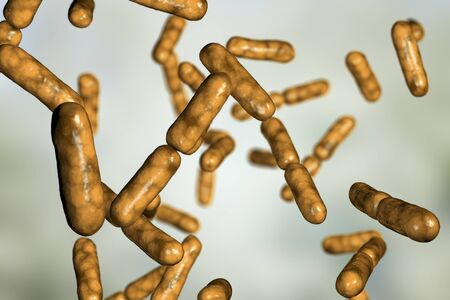 Probiotic bacteria Bacillus clausii, 3D illustration. B. clausii is a rod-shaped Gram-positive aerobic bacterium used to restore microflora of intestineの写真素材