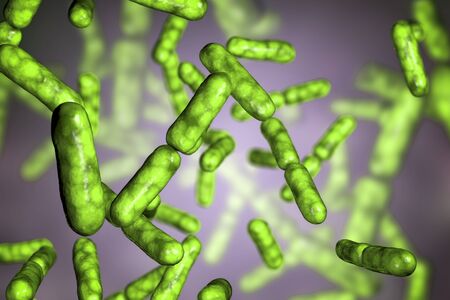 Probiotic bacteria Bacillus clausii, 3D illustration. B. clausii is a rod-shaped Gram-positive...