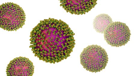 Measles viruses. 3D illustration showing structure of measles virus with surface glycoprotein spikes...