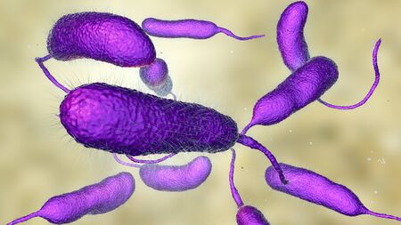 Bacterium Vibrio vulnificus, 3D illustration. The causative agent of serious seafood-related...