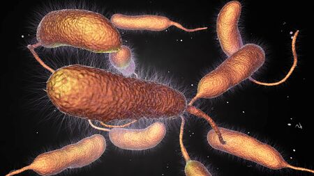 Bacterium Vibrio vulnificus, 3D illustration. The causative agent of serious seafood-related infections and infected wound after swimming in warm sea waterの写真素材