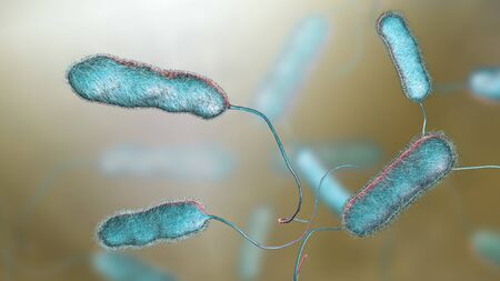 Legionella pneumophila bacterium, the causative agent of Legionnaires disease, 3D illustrationの写真素材