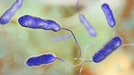 Legionella pneumophila bacterium, the causative agent of Legionnaires disease, 3D illustration
