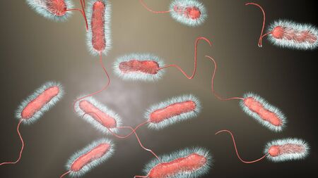 Legionella pneumophila bacterium, the causative agent of Legionnaires disease, 3D illustrationの写真素材