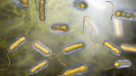 Legionella pneumophila bacterium, the causative agent of Legionnaires disease, 3D illustrationの写真素材