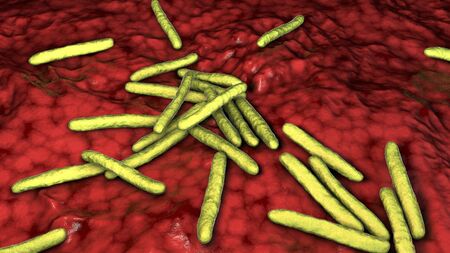 Mycobacterium leprae bacteria, the causative agent of leprosy, 3D illustration