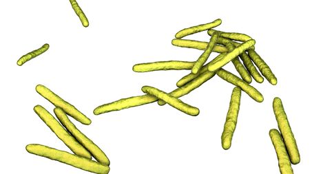 Mycobacterium leprae bacteria, the causative agent of leprosy, 3D illustrationの写真素材
