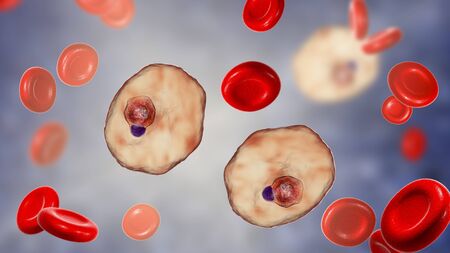 The malaria-infected red blood cell. 3D illustration showing malaria parasite Plasmodium ovale in the stage of ring-form trophozoiteの写真素材