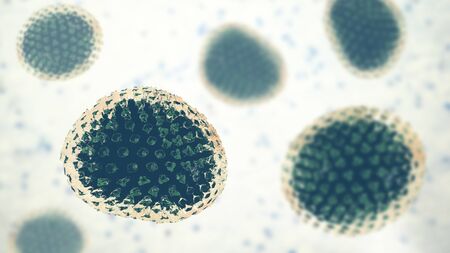 Influenza virus, flu virus, medically accurate 3D illustrationの写真素材