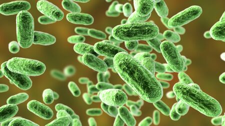 Bacteria Bordetella pertussis, 3D illustration. Gram-negative coccobacilli bacteria which cause children infection whooping coughの写真素材