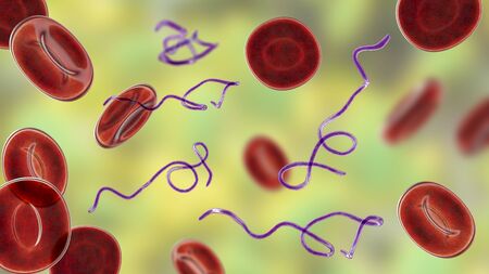 Borrelia bacteria in blood, 3D illustration. The causative agent of Lyme disease and relapsing feverの写真素材