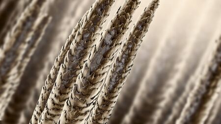 Human hair under microscope, 3D illustration showing close-up structure of healthy human hair