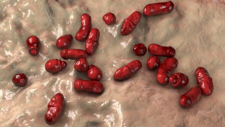 Microscopic fungi Malassezia furfur, 3D illustration. They are naturally found on the skin surfaces...