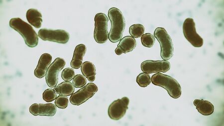 Microscopic fungi Malassezia furfur, 3D illustration. They are naturally found on the skin surfaces...
