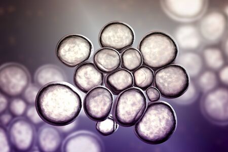 Bacteria Ureaplasma urealitycum, 3D illustration. The causative agent of urinary tract infection, can be sexually transmitted and cause infertilityの写真素材