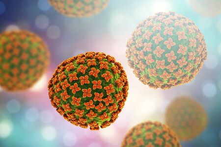 Virus which causes hemorrhagic fever with renal syndrome and human pulmonary syndromeの写真素材