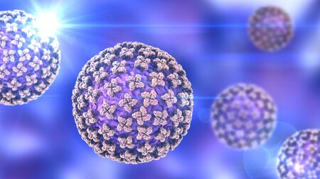 Hantavirus, the virus which causes hemorrhagic fever with renal syndrome and human pulmonary...