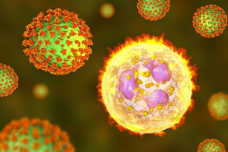 SARS-CoV-2 viruses activating neutrophil, conceptual 3D illustration. Overactive neutrophils in...