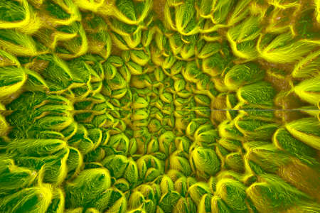 Organic abstract scientific texture and background, 3D illustration