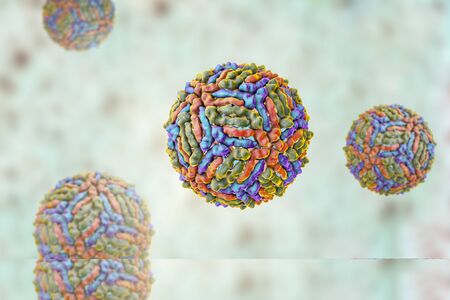 West Nile virus, WNV, 3D illustration. A virus that is transmitted by mosquito and causes West Nile...