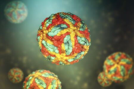 Saint Louis encephalitis virus, 3D illustration. An RNA virus of the family Flaviviridae, the...