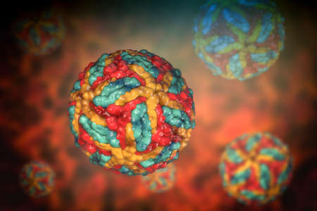 Saint Louis encephalitis virus, 3D illustration. An RNA virus of the family Flaviviridae, the...