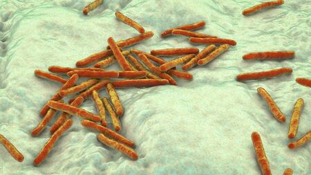 Bacteria Mycobacterium tuberculosis, the causative agent of tuberculosis, 3D illustration, can be...