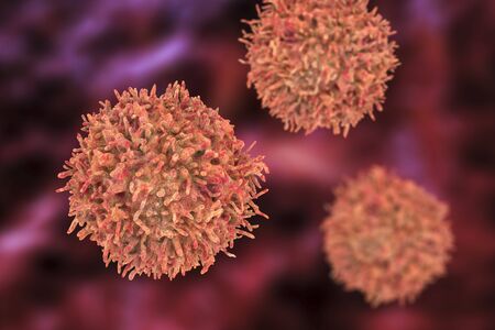 B-lymphocyte, or B-cell, an antibody-producing cell of the immune system, 3D illustration