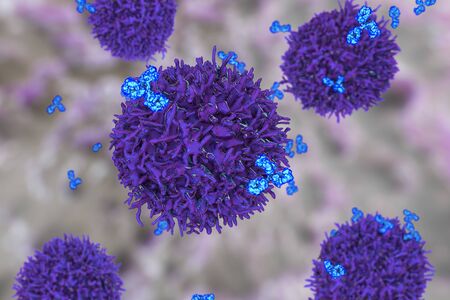 B-cell and antibodies abstract