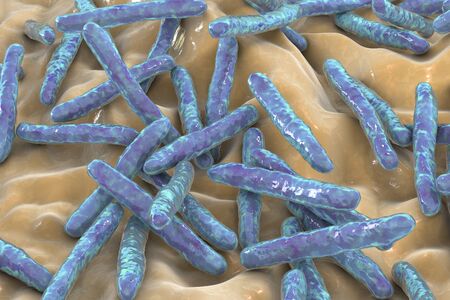 Bacteria Mycobacterium tuberculosis