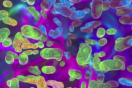 Porphyromonas gingivalis bacteria, 3D illustration. Bacteria that cause periodontal disease,...