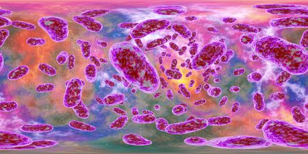 360 degree panorama view of Porphyromonas gingivalis bacteria, 3D illustration. Bacteria that cause periodontal disease, bacterial vaginosisの写真素材
