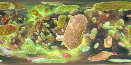 360 degree panorama view of Porphyromonas gingivalis bacteria, 3D illustration. Bacteria that cause...