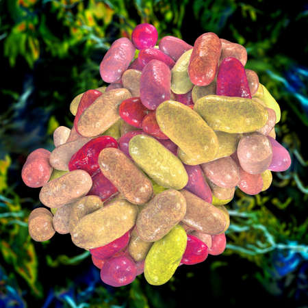 Porphyromonas gingivalis bacteria, 3D illustration. Bacteria that cause periodontal disease,...