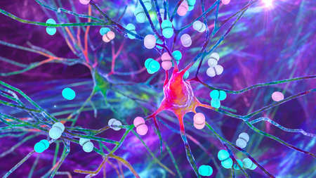 Bacteria Streptococcus pneumoniae infecting neurons, brain cells. Conceptual 3D illustration of pneumococcal and other bacterial encephalitis, meningitis, bacterial infection of brain tissueの写真素材