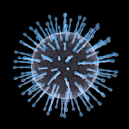 SARS-CoV-2 viruses, the causative agent of COVID-19