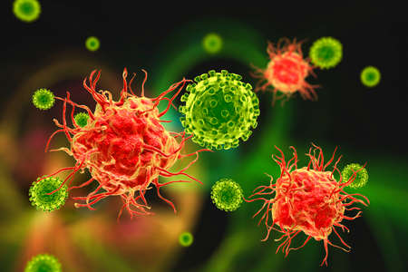 Dendritic cells binding virusesの写真素材