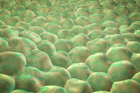 Layer of cells, 3D illustration, research background perfect to illustrate skin, epithelium, stem...