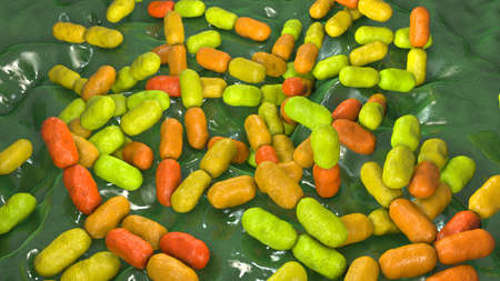 Kingella bacteria, 3D illustration. They colonize children's throat and occasionally cause invasive...